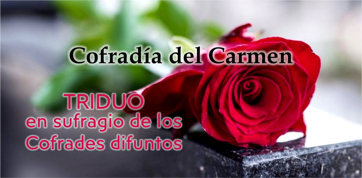 Programación Solemnidad en honor a S. Teresa de Jesús